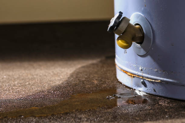 Best Mold removal after water damage  in Flying Hills, PA
