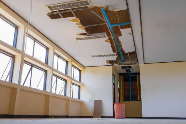 Best 24-hour water damage restoration  in Flying Hills, PA