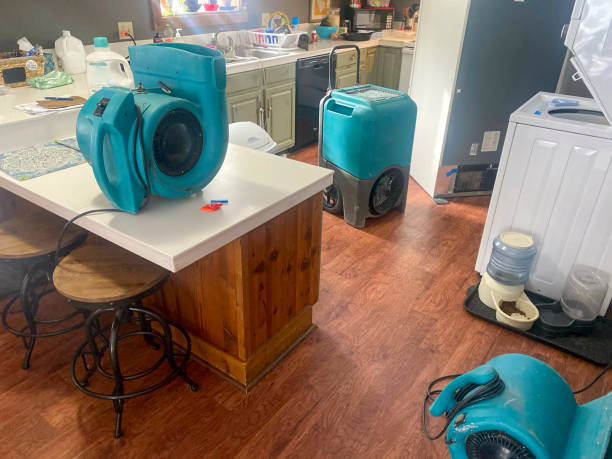 Best Water damage restoration near me  in Flying Hills, PA