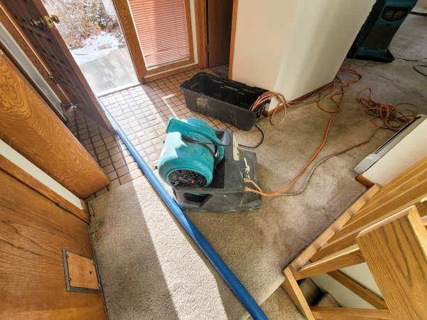 Best Water damage contractors near me  in Flying Hills, PA
