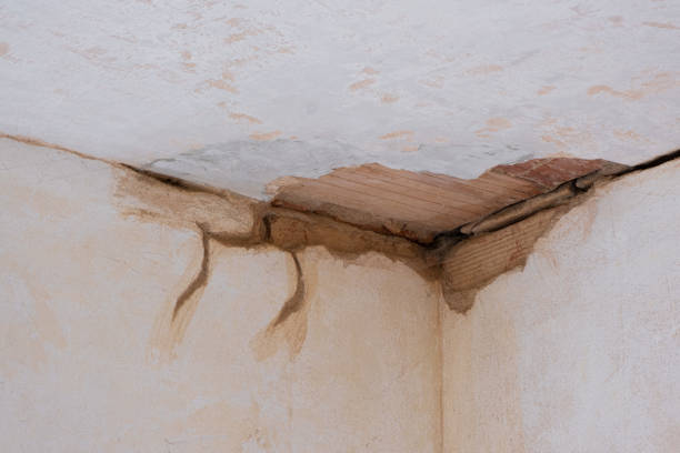 Best Fire Damage Restoration  in Flying Hills, PA