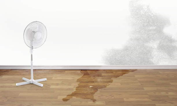 Best Flood restoration services  in Flying Hills, PA