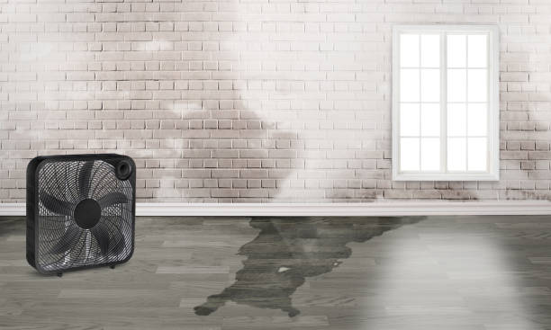 Best Sewage cleanup and water damage restoration  in Flying Hills, PA