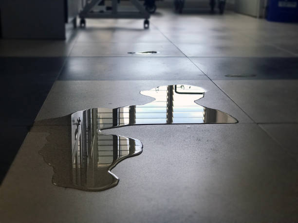 Best Water damage restoration cost  in Flying Hills, PA