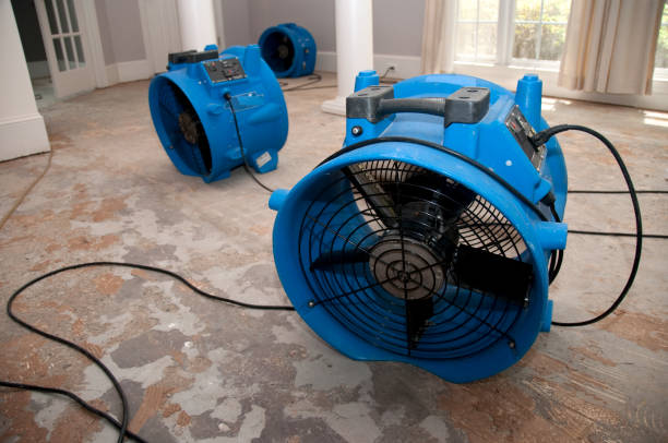 Best Residential water damage restoration  in Flying Hills, PA