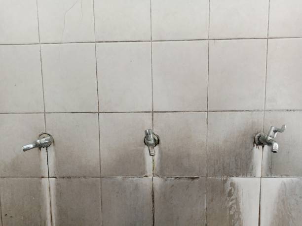 Best Flood damage cleanup  in Flying Hills, PA