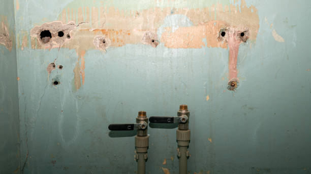 Best Water damage restoration insurance claims  in Flying Hills, PA