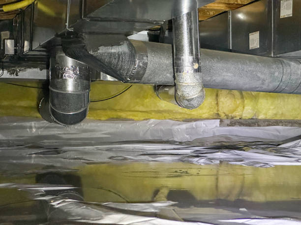 Best Ceiling water damage repair  in Flying Hills, PA