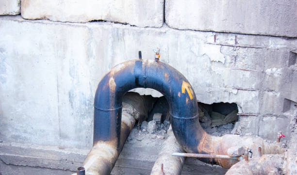 Best Water damage cleanup near me  in Flying Hills, PA