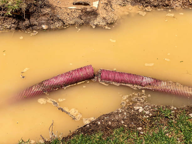 Best Flood restoration services  in Flying Hills, PA