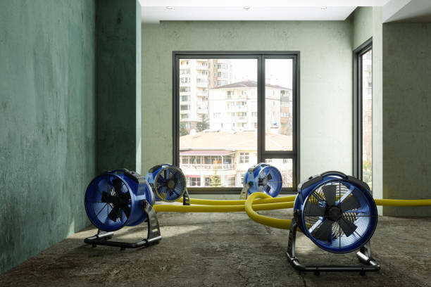 Best Sewage cleanup and water damage restoration  in Flying Hills, PA
