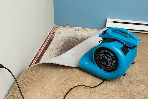 Best Water damage mitigation services  in Flying Hills, PA